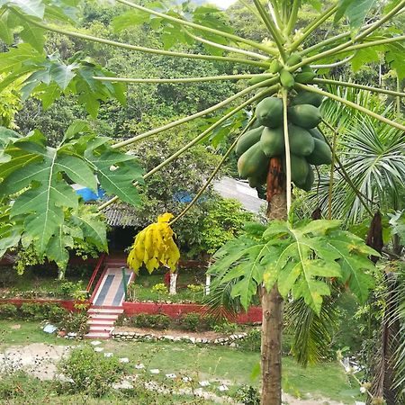 Willa Entre Bosques Tayrona Los Naranjos Pokój zdjęcie