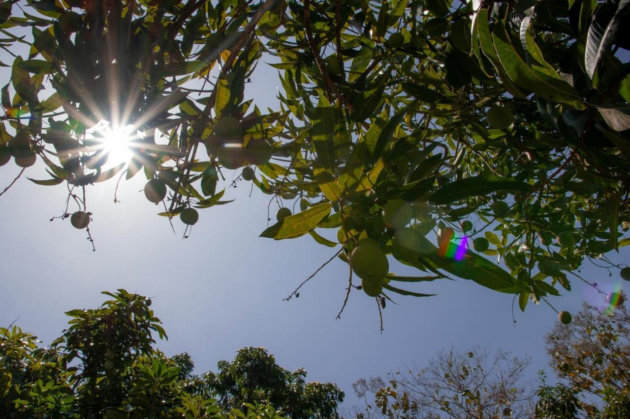 Willa Entre Bosques Tayrona Los Naranjos Zewnętrze zdjęcie