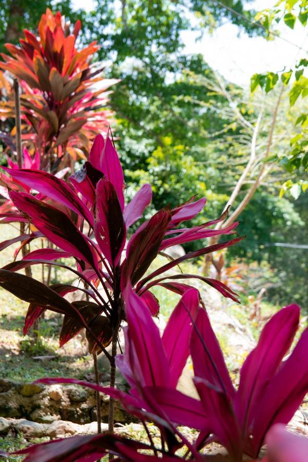 Willa Entre Bosques Tayrona Los Naranjos Zewnętrze zdjęcie