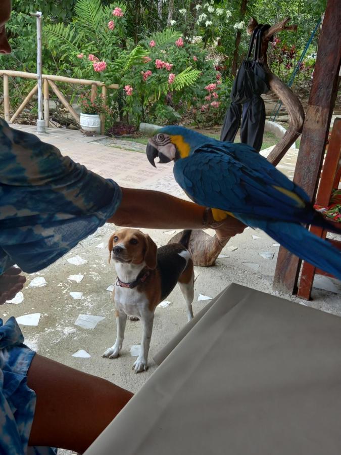 Willa Entre Bosques Tayrona Los Naranjos Zewnętrze zdjęcie