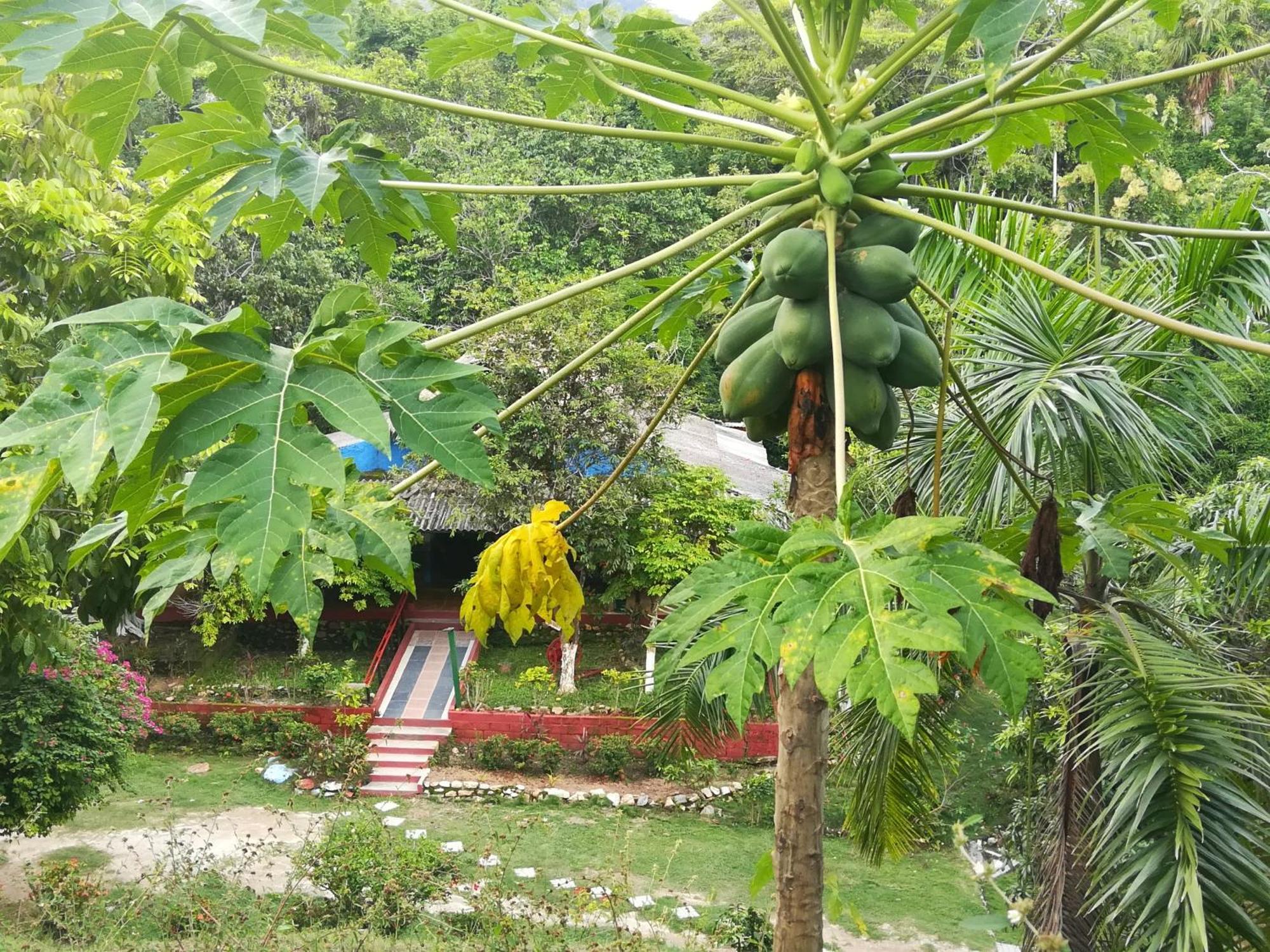 Willa Entre Bosques Tayrona Los Naranjos Pokój zdjęcie