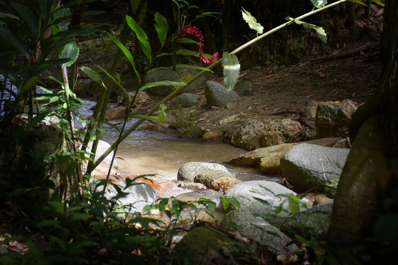 Willa Entre Bosques Tayrona Los Naranjos Zewnętrze zdjęcie