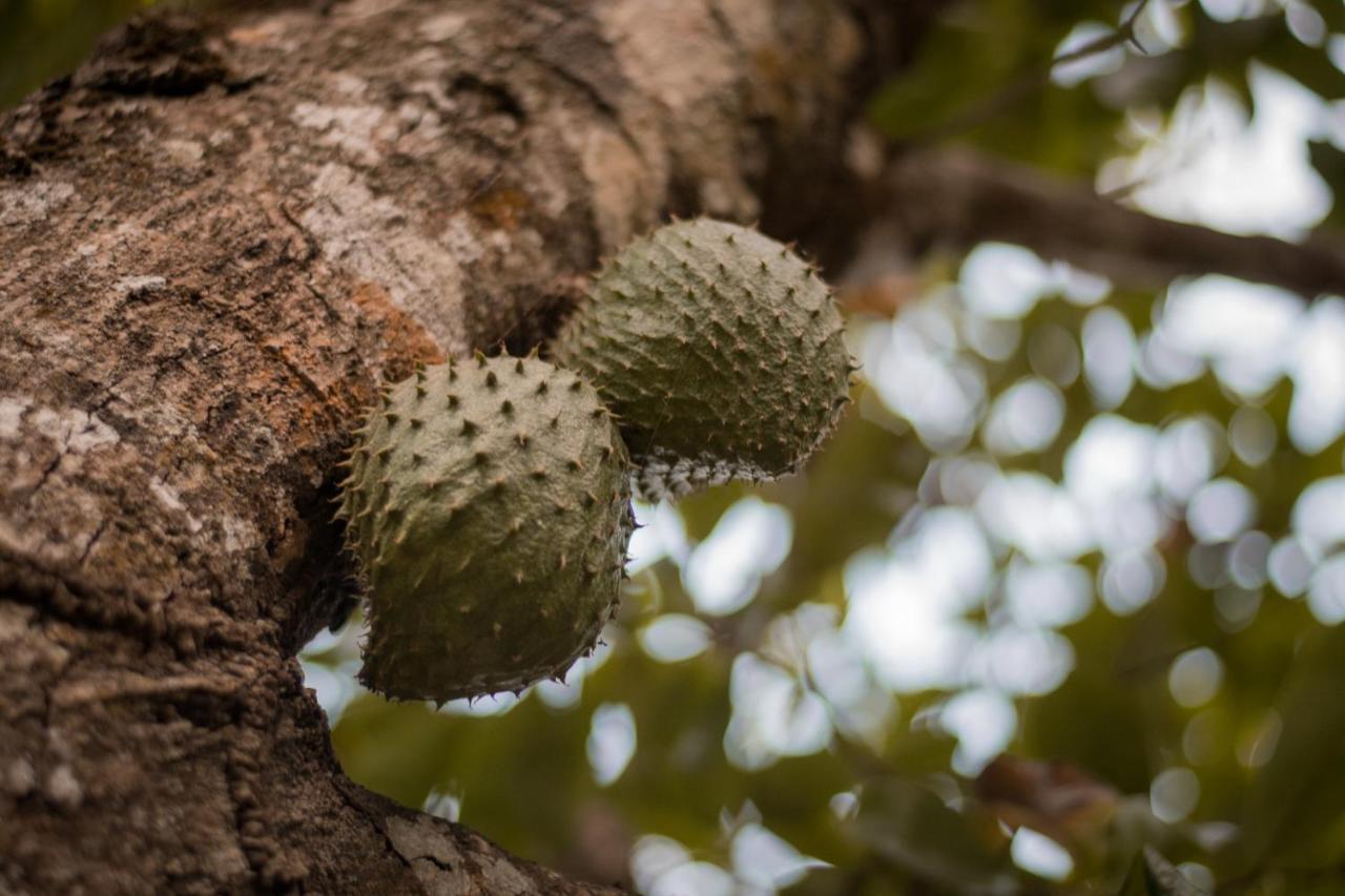 Willa Entre Bosques Tayrona Los Naranjos Zewnętrze zdjęcie