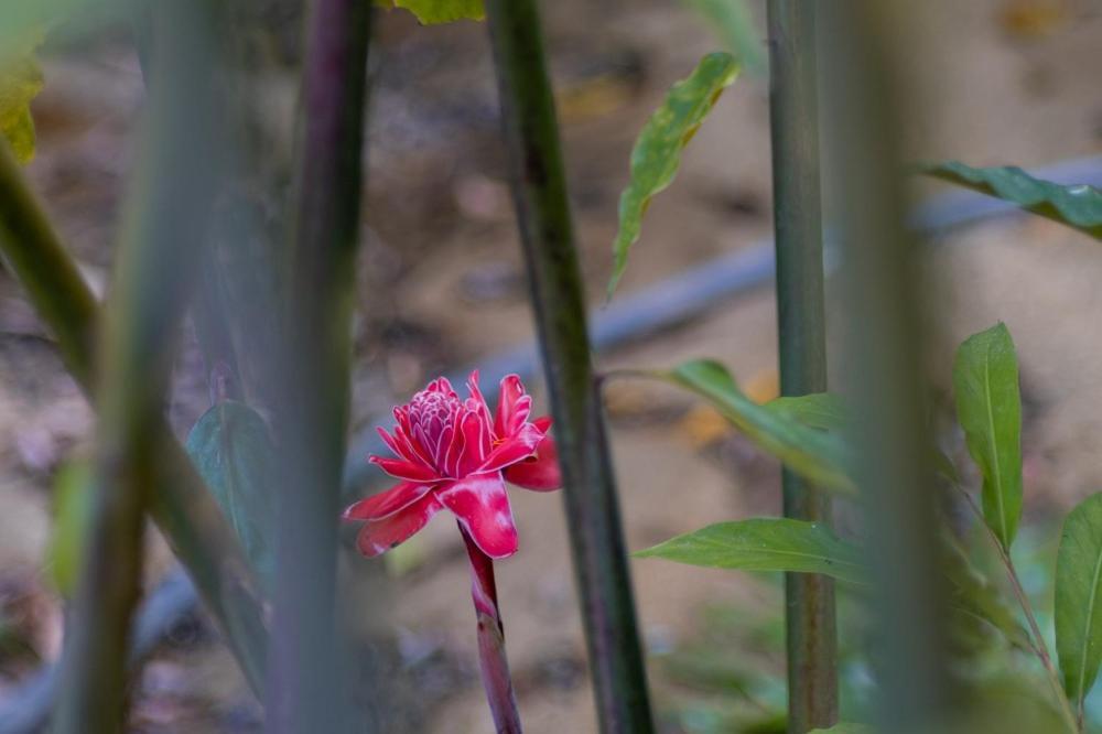 Willa Entre Bosques Tayrona Los Naranjos Zewnętrze zdjęcie